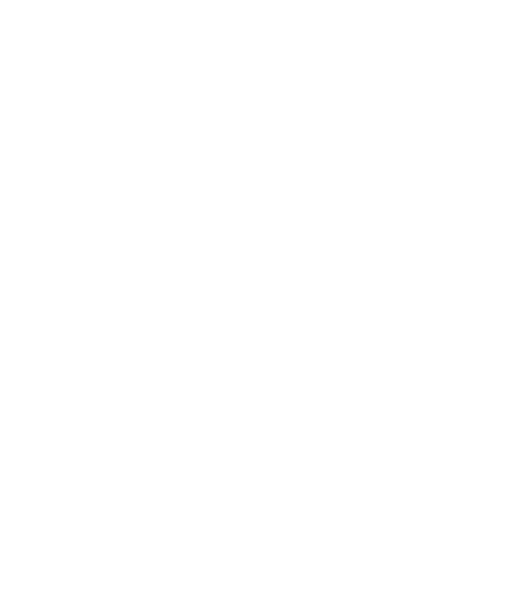electrique
